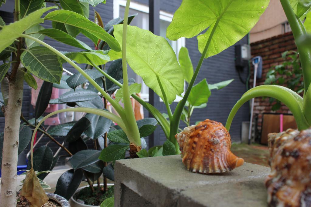 Good Day Mate Hostel Busan Exterior foto